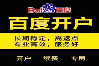 百度广告推广在电商行业的实战案例